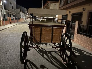 Coche de caballos