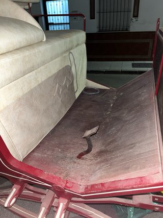 Coche de caballos