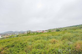 Terreno en venta en Sauzal (El)