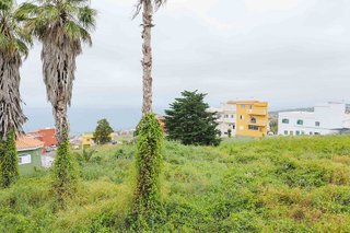 Terreno en venta en Sauzal (El)