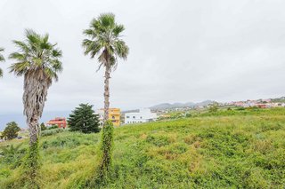 Terreno en venta en Sauzal (El)