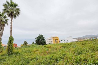 Terreno en venta en Sauzal (El)