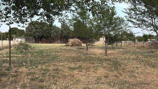 Solar en venta en Casar (El)