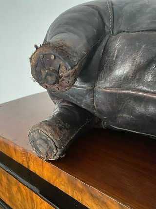 Rinoceronte Omersa