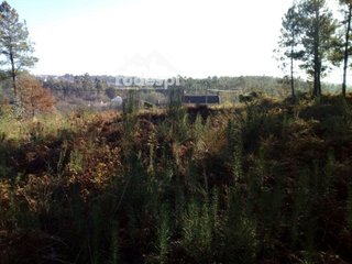Terreno en venta en Cañiza (A)