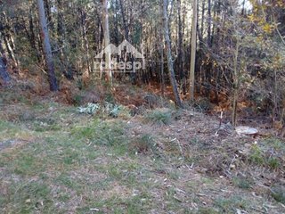 Terreno en venta en Cañiza (A)