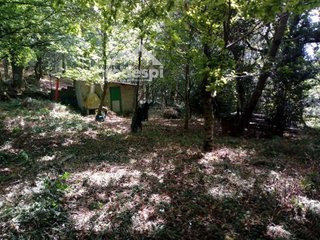 Terreno en venta en Cañiza (A)