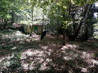 Terreno en venta en Cañiza (A)