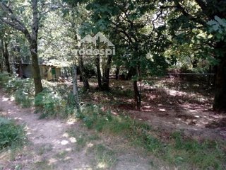 Terreno en venta en Cañiza (A)