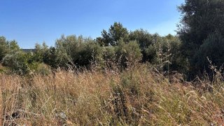 Terreno en venta en Les Boqueres-Zona norte en Almazora/Almassora
