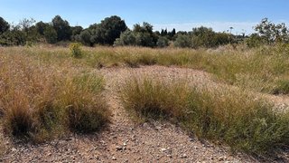 Terreno en venta en Les Boqueres-Zona norte en Almazora/Almassora