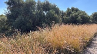 Terreno en venta en Les Boqueres-Zona norte en Almazora/Almassora