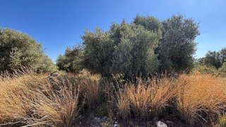 Terreno en venta en Les Boqueres-Zona norte en Almazora/Almassora