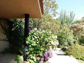 Chalet en alquiler en Somosaguas en Pozuelo de Alarcón