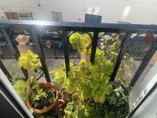 Casa en venta en Olvera