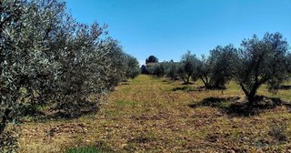 Terreno en venta en Centro en Valdepeñas
