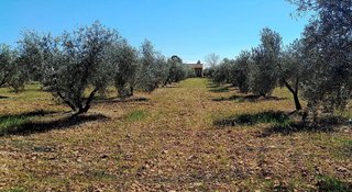 Terreno en venta en Centro en Valdepeñas