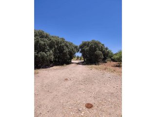 Casa rural en venta en Alhama de Granada