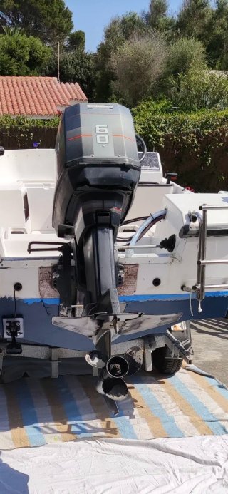 Motor fueraborda Mariner 50cv 2t