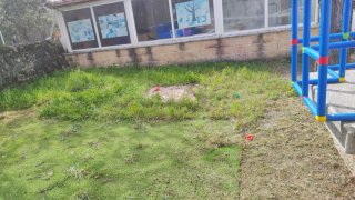 Servicios de jardinería