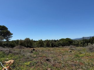 Terreno en venta en Muro en Muro