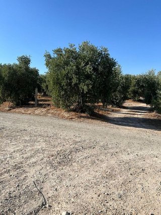Terreno en venta en Priego de Córdoba