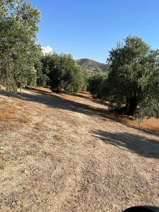 Terreno en venta en Priego de Córdoba