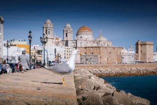 Piso en venta en Centro Histórico - Plaza España en Cádiz