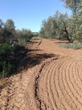 Terreno en venta en Pilas