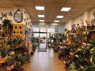 Local comercial en venta en Universidad en Ourense