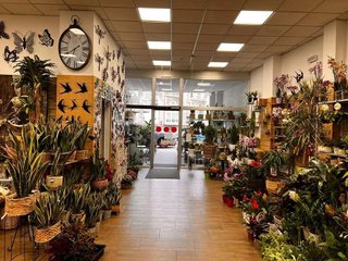 Local comercial en venta en Universidad en Ourense
