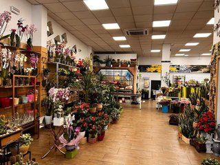 Local comercial en venta en Universidad en Ourense