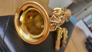 Saxo Soprano Yamaha YSS-875 EX HG