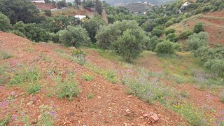 Terreno en venta en Mijas Pueblo en Mijas