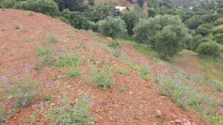 Terreno en venta en Mijas Pueblo en Mijas