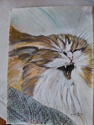 Cuadro de gato en acrílico