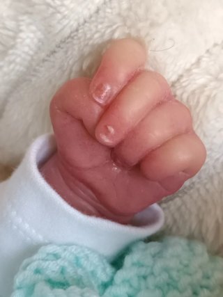 Bebé Reborn