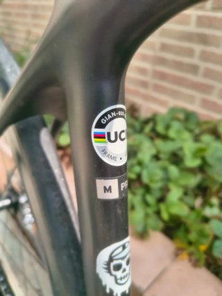 Giant TCR PRO DISC