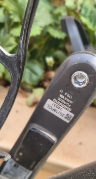Giant TCR PRO DISC