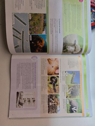 BIOLOGIA I GEOLOGIA 1 SEC CONSTRUINT MONS