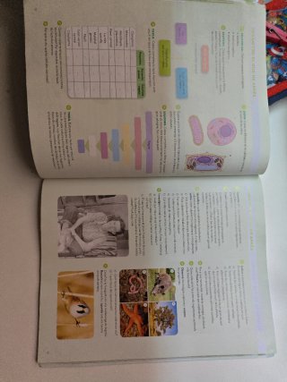 BIOLOGIA I GEOLOGIA 1 SEC CONSTRUINT MONS