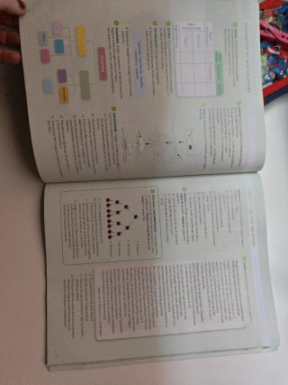 BIOLOGIA I GEOLOGIA 1 SEC CONSTRUINT MONS