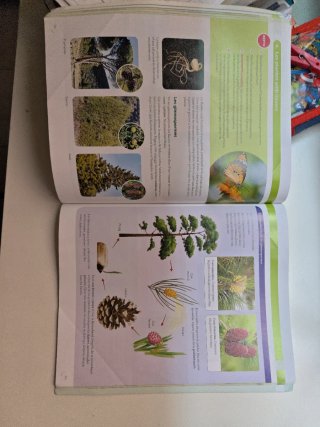 BIOLOGIA I GEOLOGIA 1 SEC CONSTRUINT MONS