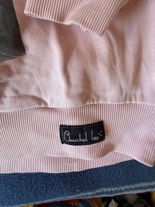 Sudadera Anabel Lee rosa perro Nueva York
