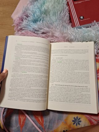 Compendio de Derecho de Familia