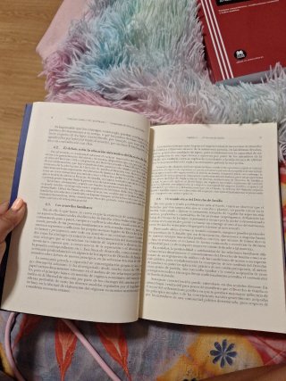 Compendio de Derecho de Familia