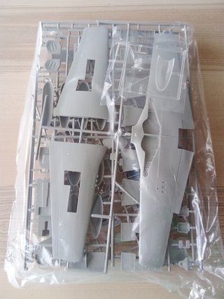 P-51D MUSTANG MAQUETA HASEGAWA 1/32