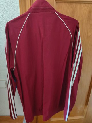 Cortavientos Adidas Originals con capucha oculta