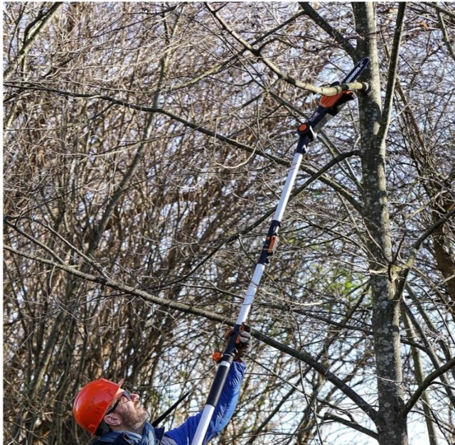 Sierra Cadena WORX WG349E.9 20cm Negra - miniatura 12