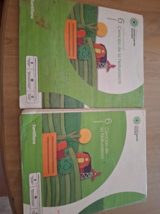 Libro de santillana de 6 primaria